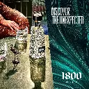 1800 Cristalino_Mood.webp