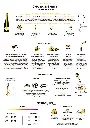 LEMON & VERBENA Tasting Notes_Seite_2.webp