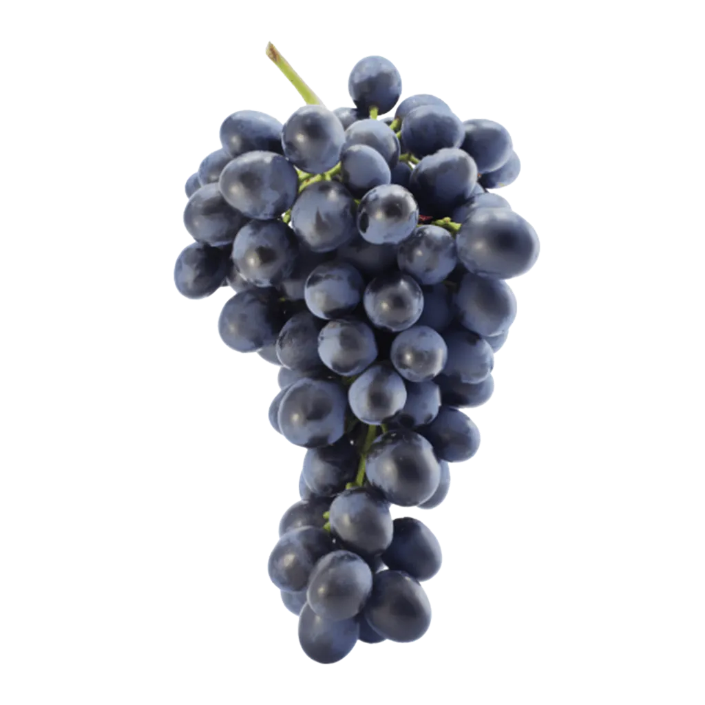 garnacha_Rebsorte.webp