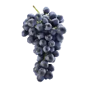garnacha_Rebsorte.webp
