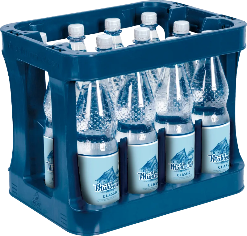 Wasser Hausmarke PET 12 x 1,00 l